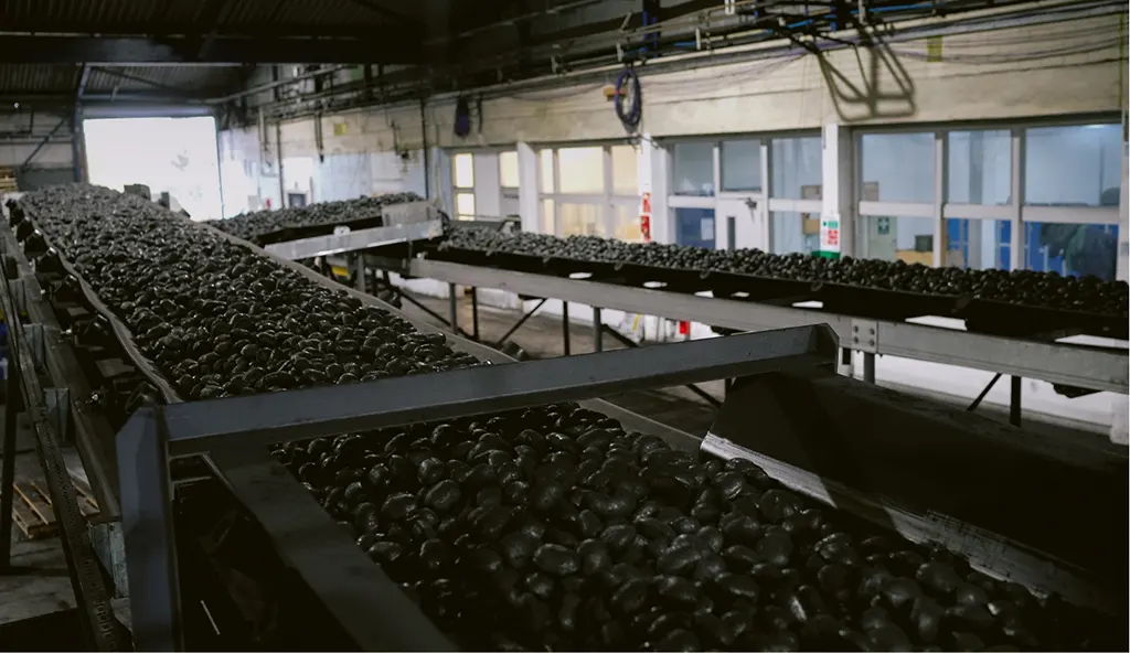 Coyle Coal Glotherm Manufacturing Plant